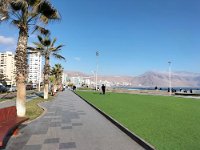 17 Iquique