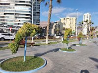 18 Iquique