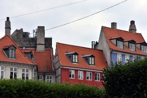 DSC_4906